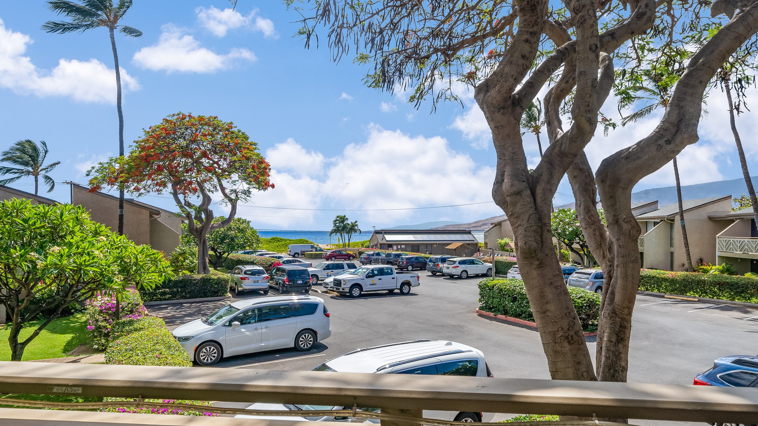 Condo in Kihei · ★4.79 · 2 bedrooms · 3 beds · 1 bath - Image 32