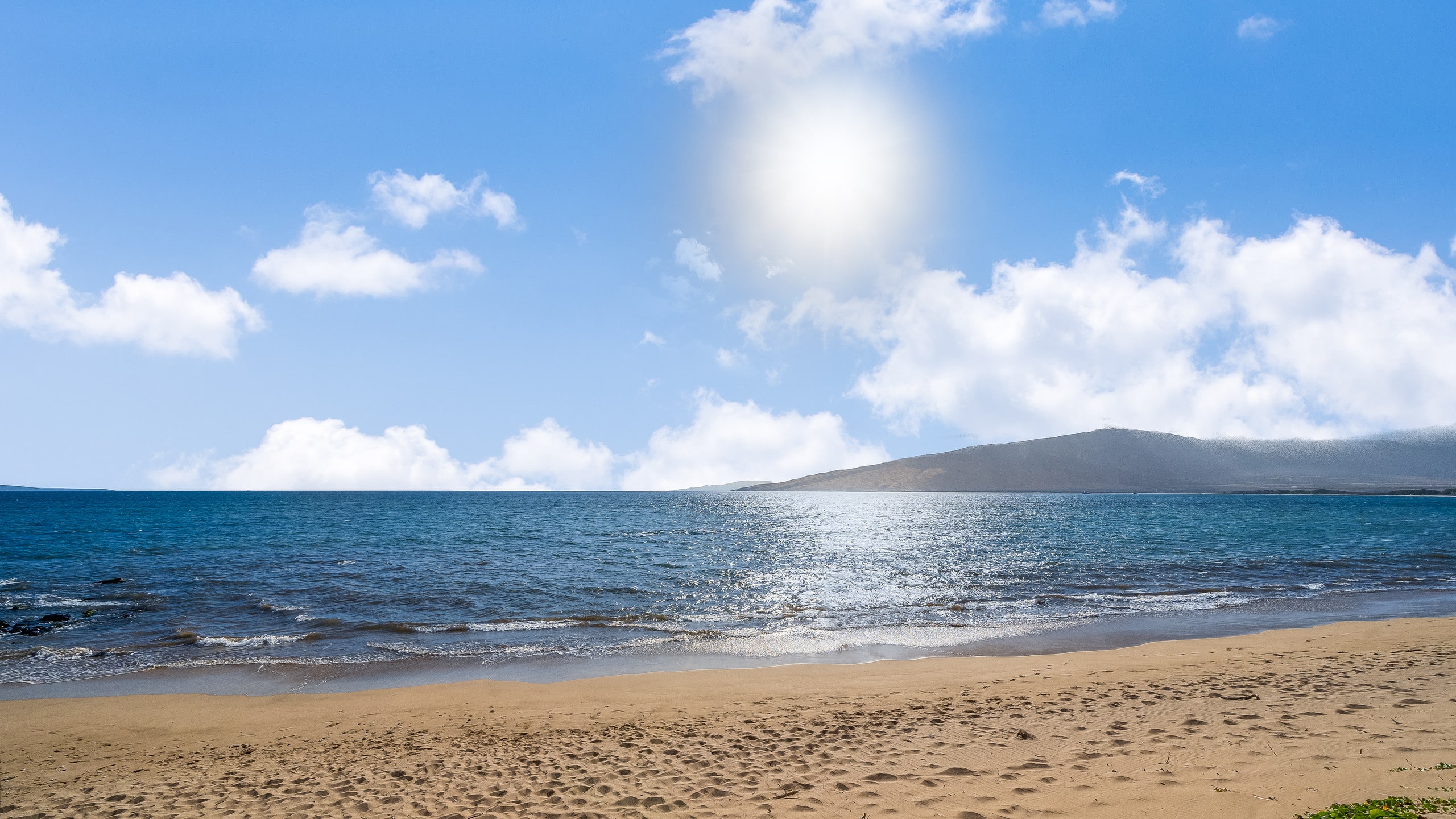 Condo in Kihei · ★4.79 · 2 bedrooms · 3 beds · 1 bath - Image 7
