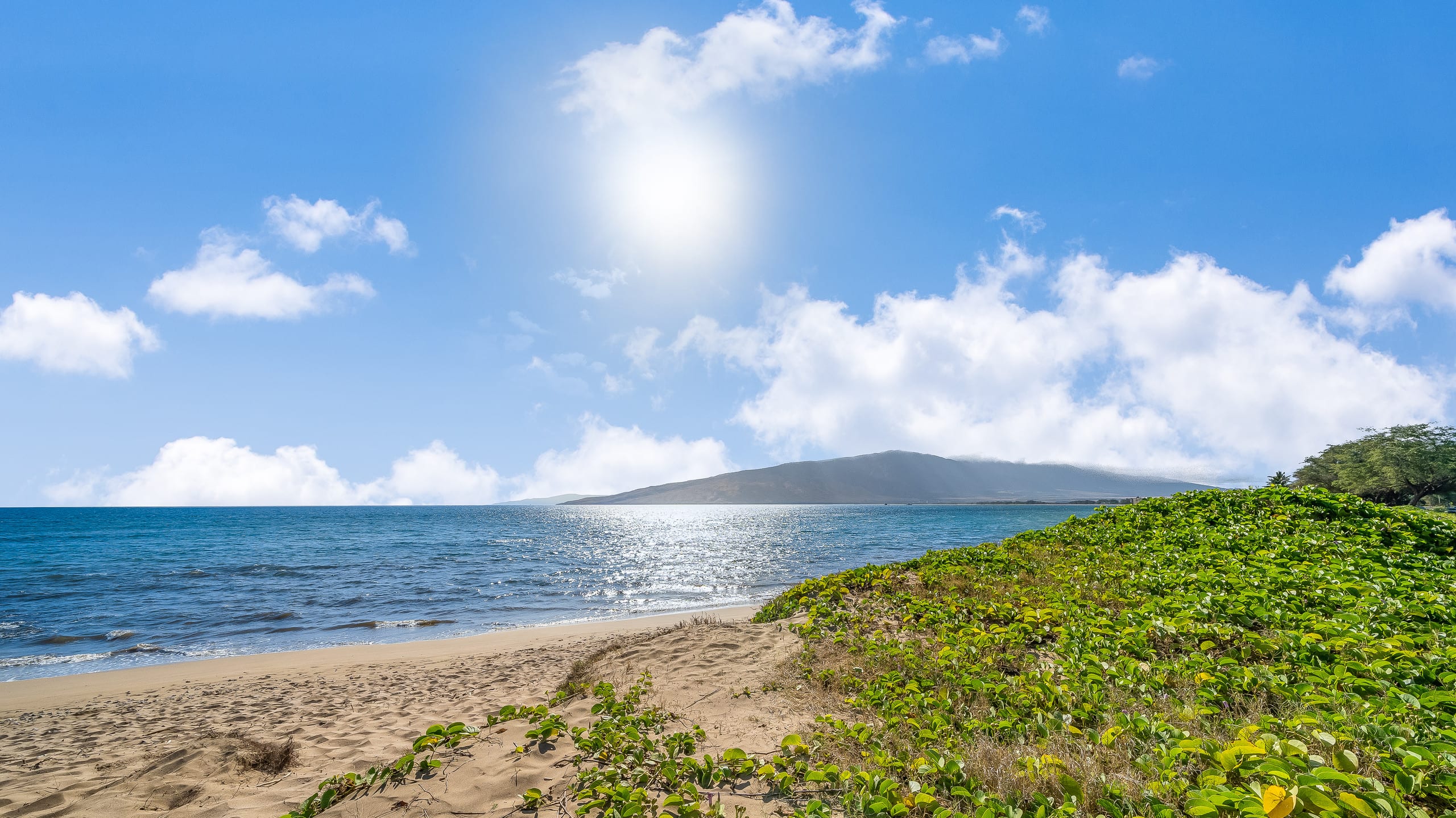 Condo in Kihei · ★4.79 · 2 bedrooms · 3 beds · 1 bath - Image 27