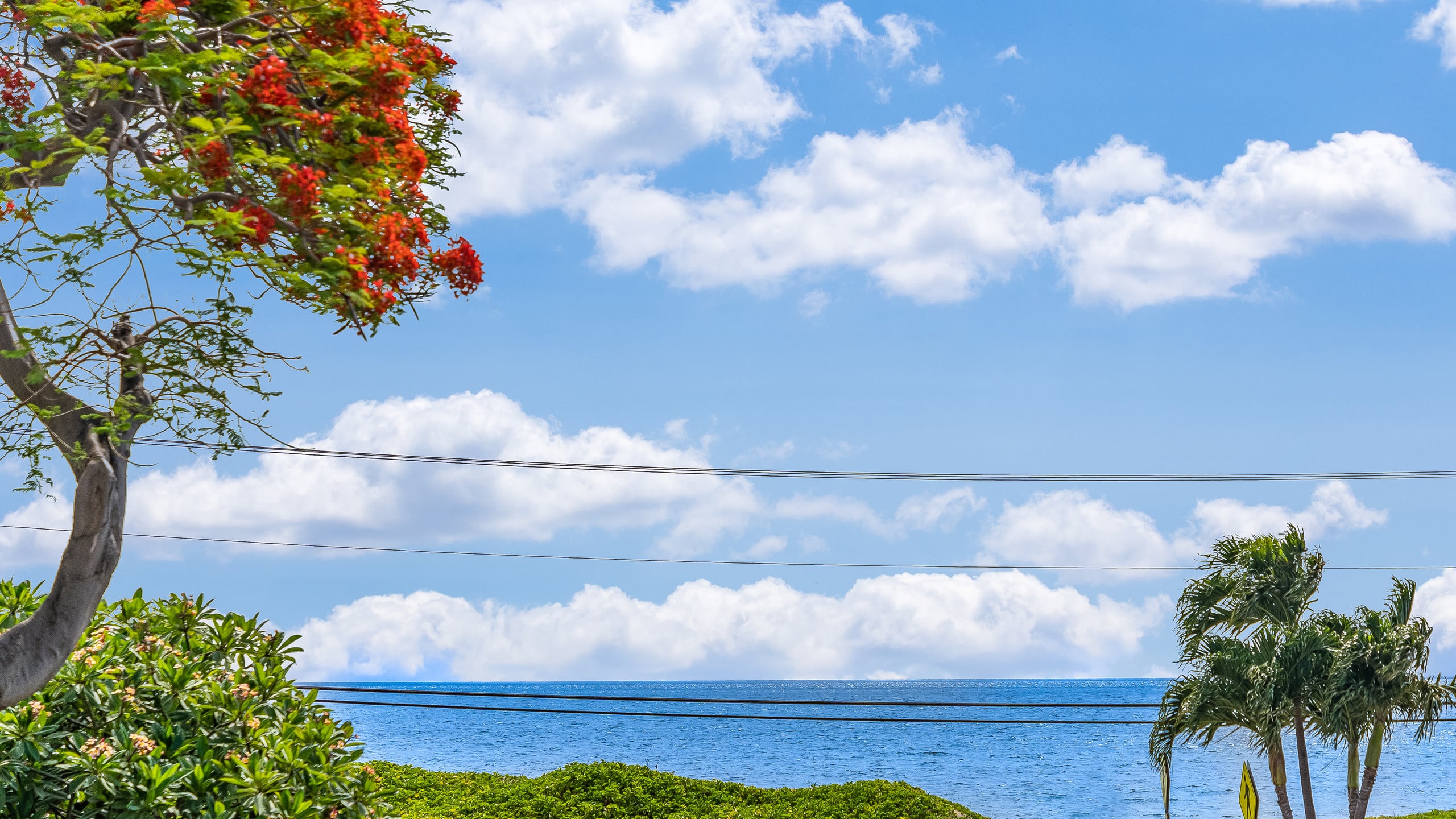 Condo in Kihei · ★4.79 · 2 bedrooms · 3 beds · 1 bath - Image 26