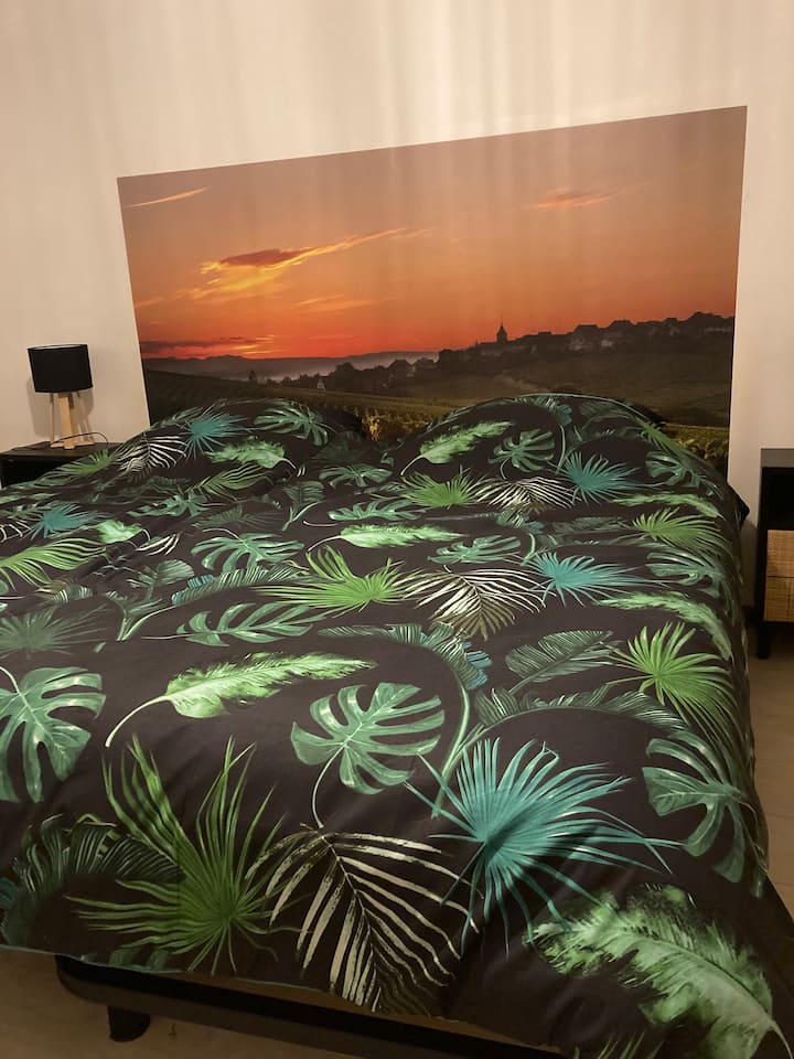 "L'Alsacienne" in einem typischen Haus - Wohnungen zur Miete in