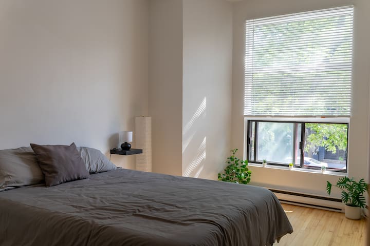SPACIOUS 4 BEDROOM APARTMENT IN HEART OF MONTREAL