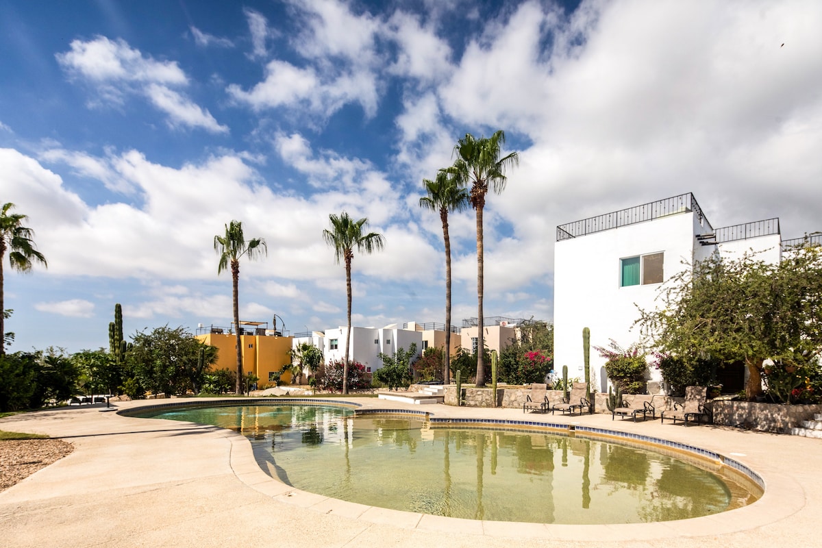 A curved swimming pool is surrounded by palm trees and lush greenery. Bright clouds pass overhead, highlighting the natural landscape. Nearby, a calm area features lounge chairs positioned for relaxation, with white buildings in the background adding to the serene environment.