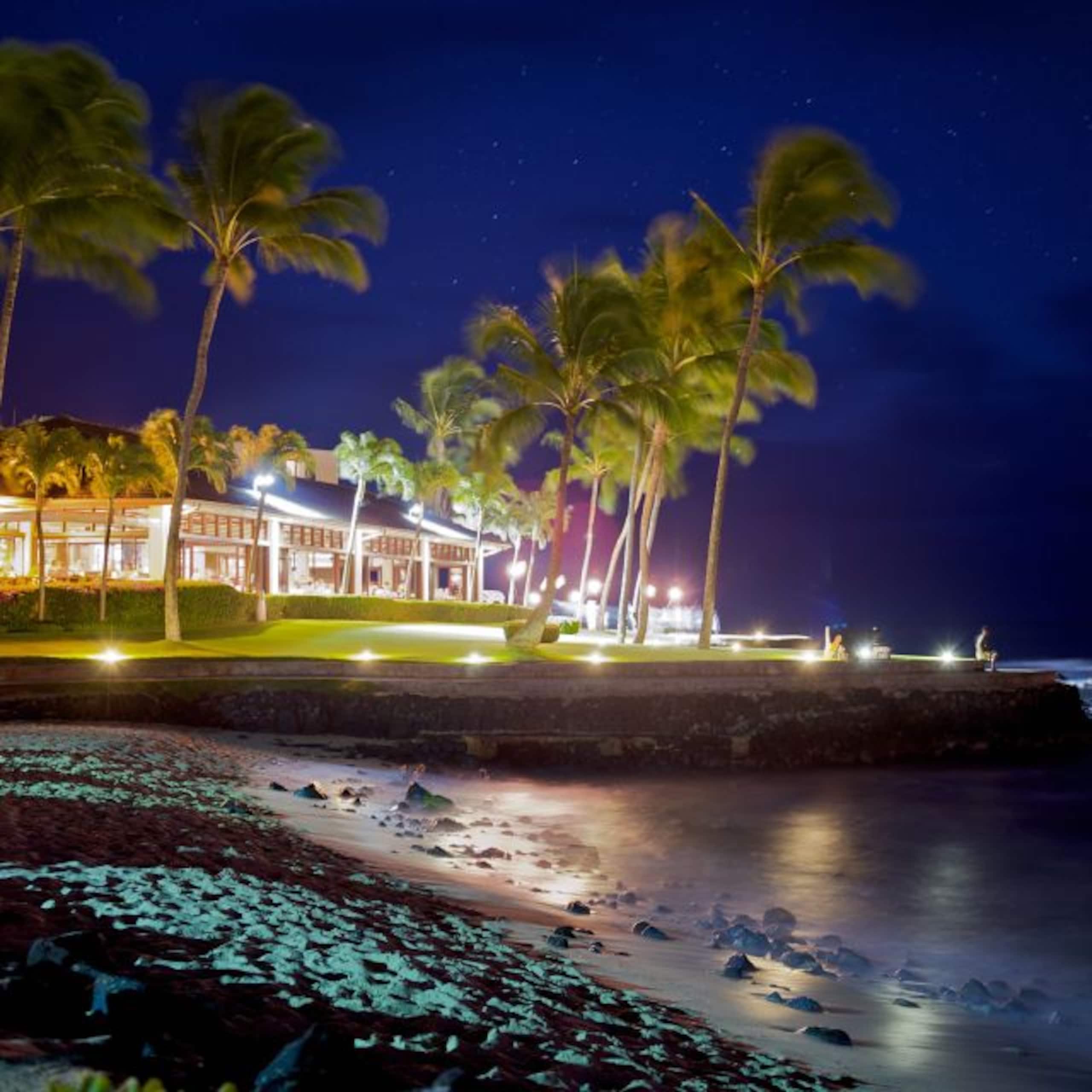 Condo in Koloa · ★4.92 · 1 bedroom · 2 beds · 1 bath - Photo 48