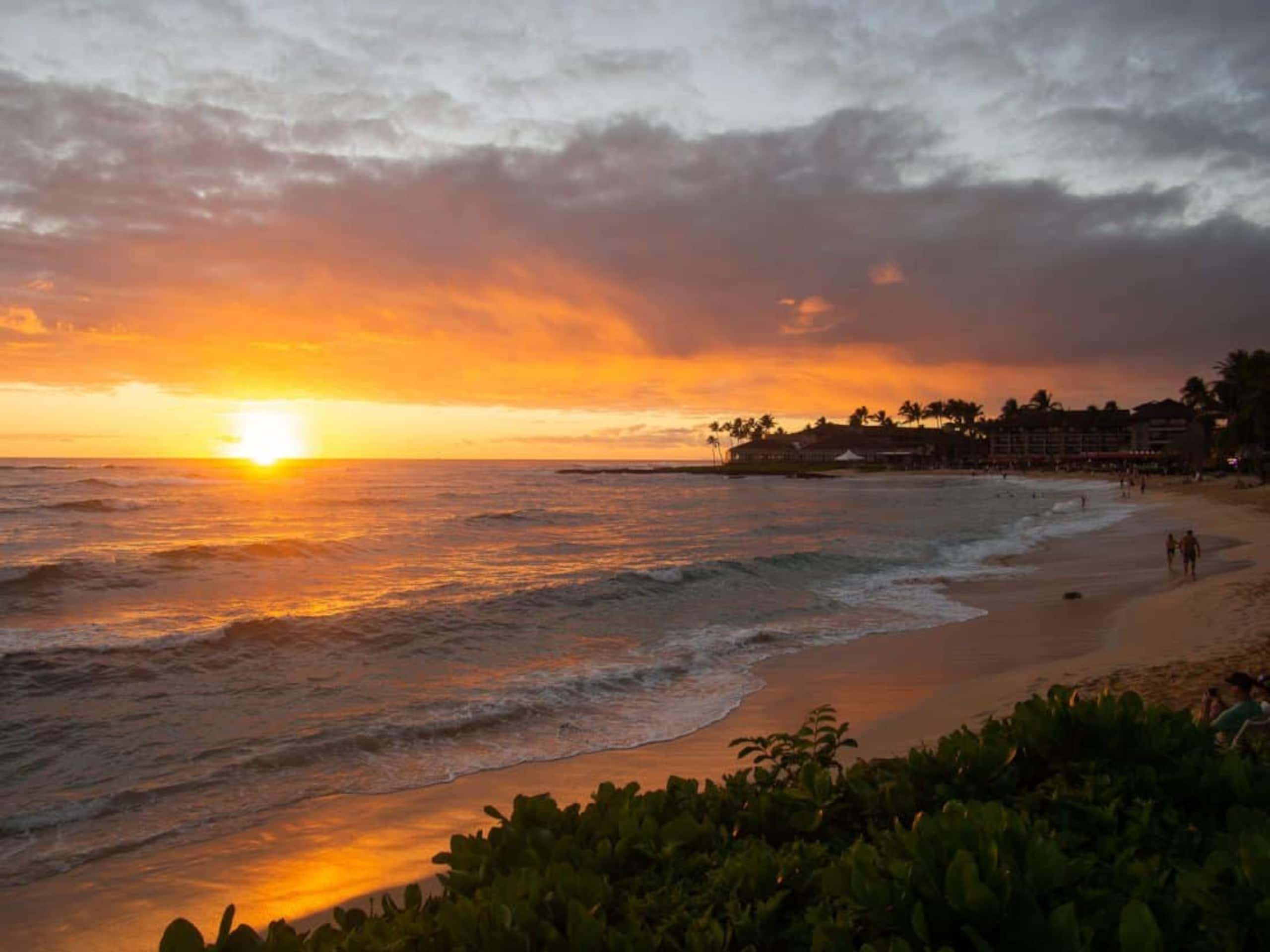 Condo in Koloa · ★4.92 · 1 bedroom · 2 beds · 1 bath - Photo 43