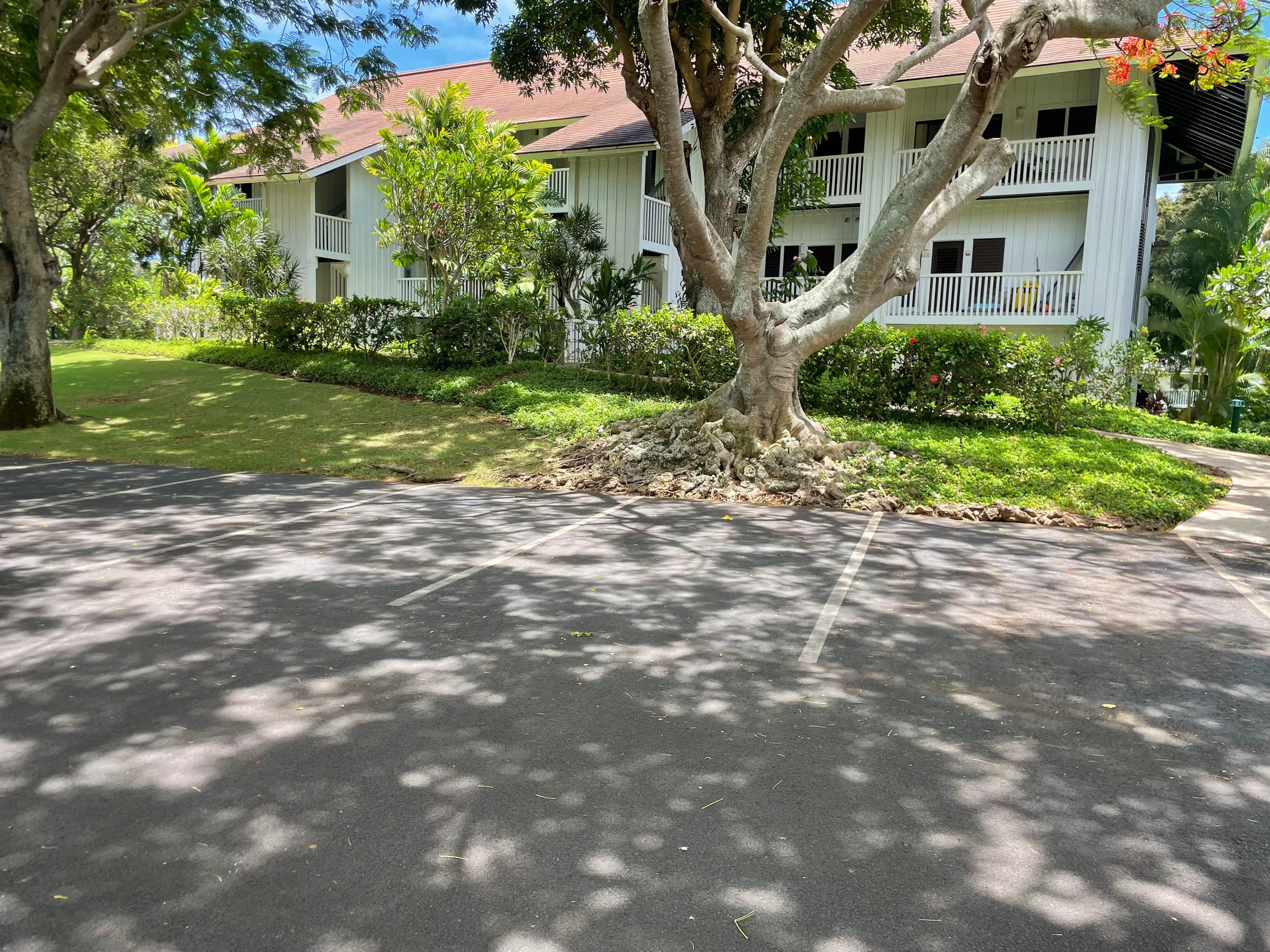 Condo in Koloa · ★4.92 · 1 bedroom · 2 beds · 1 bath - Photo 23