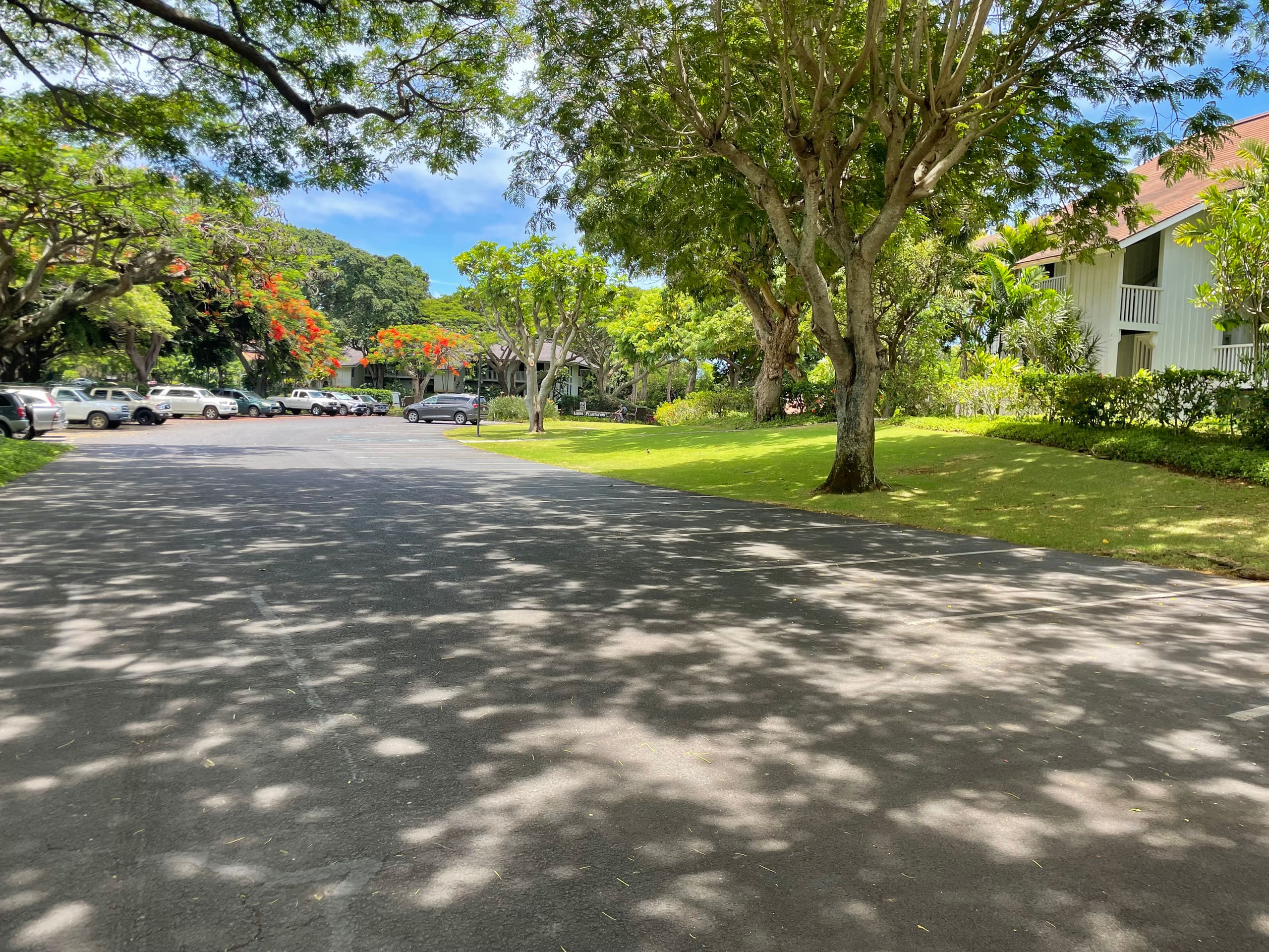 Condo in Koloa · ★4.92 · 1 bedroom · 2 beds · 1 bath - Photo 24
