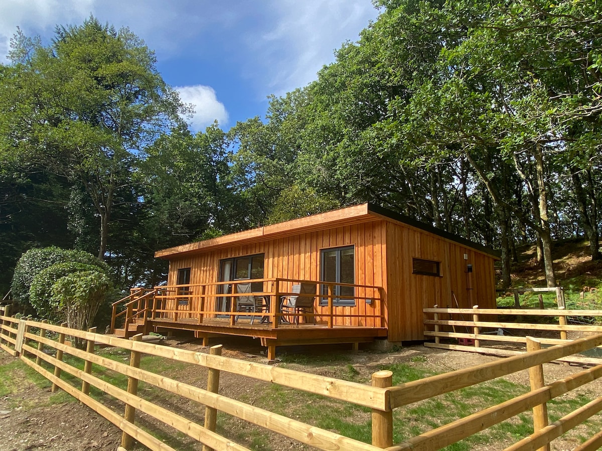 The cabin features a wooden exterior complemented by large windows, surrounded by trees. A spacious deck with chairs offers a welcoming spot to enjoy nature. A wooden fence encloses the area, providing a sense of privacy in the tranquil environment.