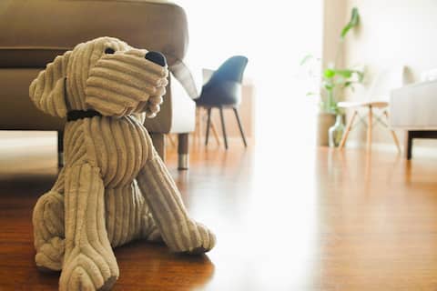 Imóvel de sucesso: Music Apartment em Ramalde