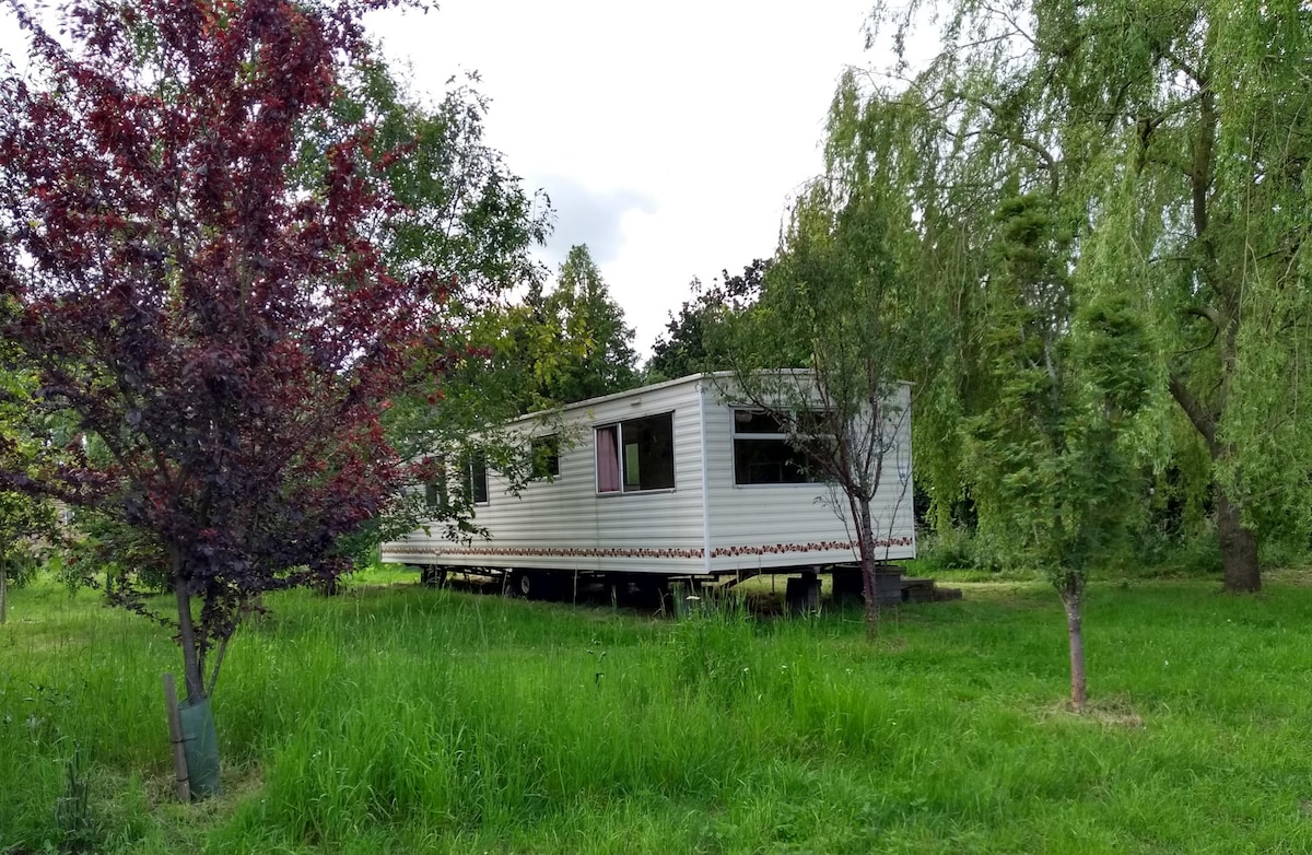 A static caravan is situated amidst greenery, surrounded by trees and tall grass. The exterior features large windows, allowing natural light to enter. The peaceful setting offers a sense of privacy, while the neighboring trees add to the serene atmosphere of the woodland area.
