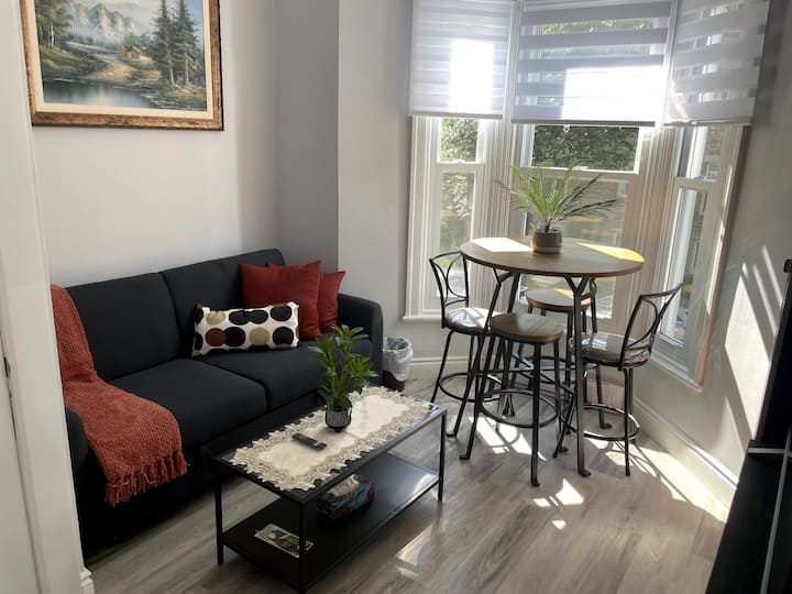 Fully Renovated! All New! 4 1/2 Dt Mtl W/ Terrace - ラザル