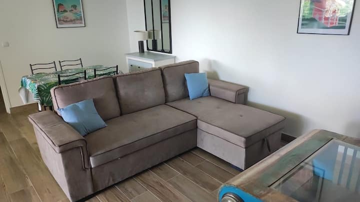 Appartement Spacieux, Soigné Et Tout Confort - Martinica