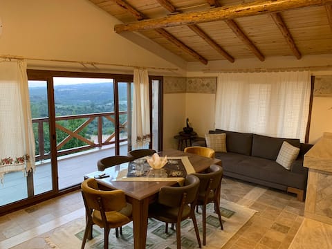 STONE house with trees 2+1 nature and sea views