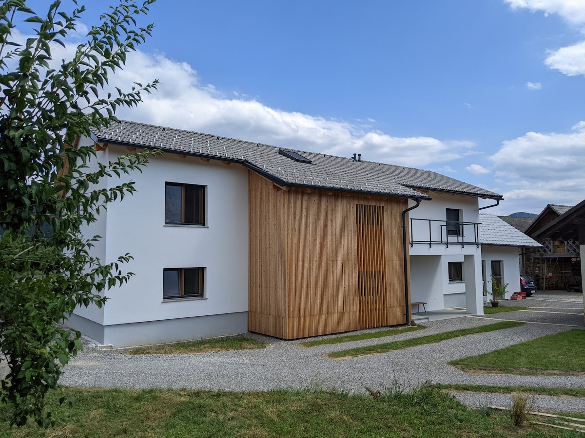 The exterior of a two-story house is showcased, featuring a blend of traditional stone and modern wooden elements. Windows align symmetrically, providing a contemporary look. A gravel pathway meanders through green grass, leading to an inviting entrance. The sky is clear with soft clouds.