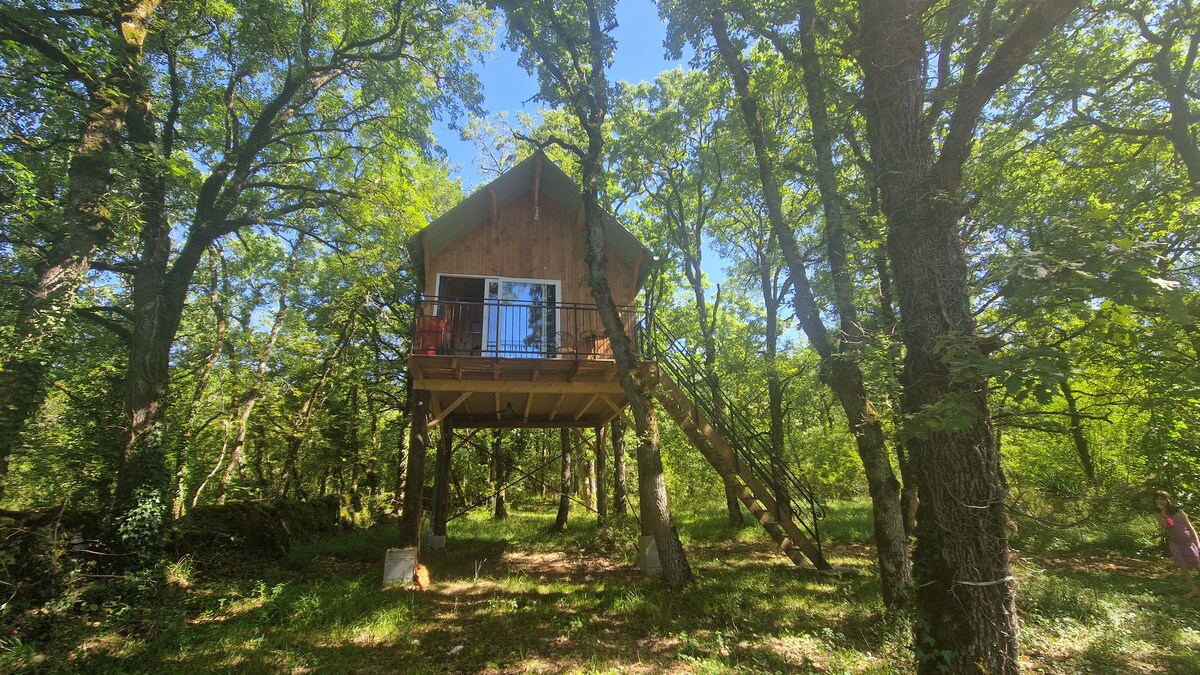 A cabin elevated on posts is nestled among tall trees, surrounded by a lush green landscape. A balcony with a railing extends from the front, offering views of the forest. Stairs lead up to the entrance, enhancing accessibility.