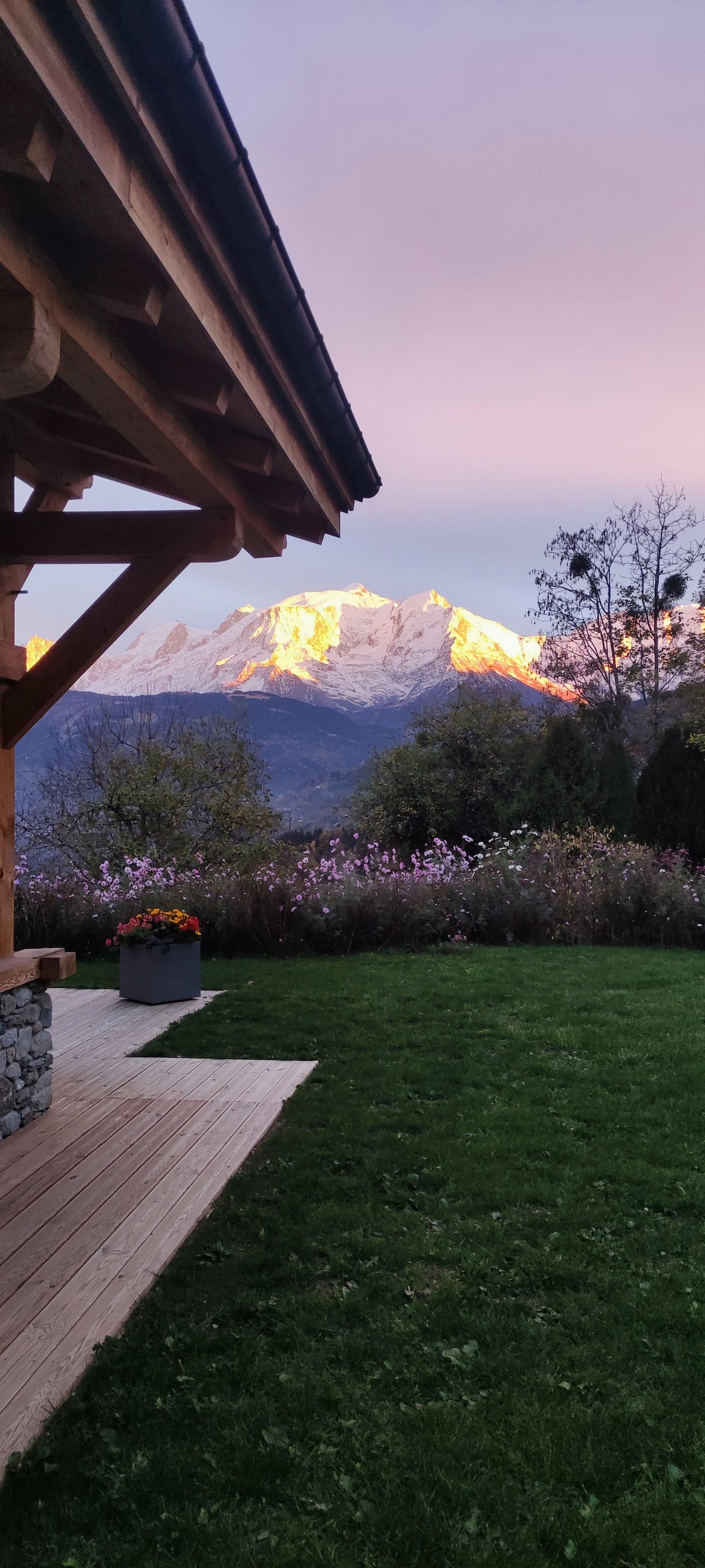 The image captures a scenic view of the Mont-Blanc mountains, illuminated by the soft light of sunset. A wooden chalet structure is visible in the foreground, accompanied by a lush lawn and colorful flower pots, enhancing the natural beauty of the surroundings.