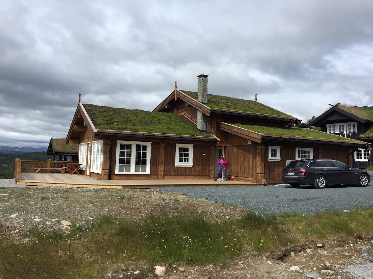 The exterior of the wooden cabin is showcased, featuring a green grass-covered roof. Large windows allow natural light inside, while a stone chimney rises from the center. A deck extends from the cabin, and a vehicle is parked nearby, with scenic hills in the background.