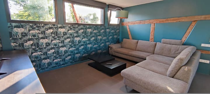 Appartement Accès Pmr Proche De Colmar Eguisheim - Le Parc du Petit Prince