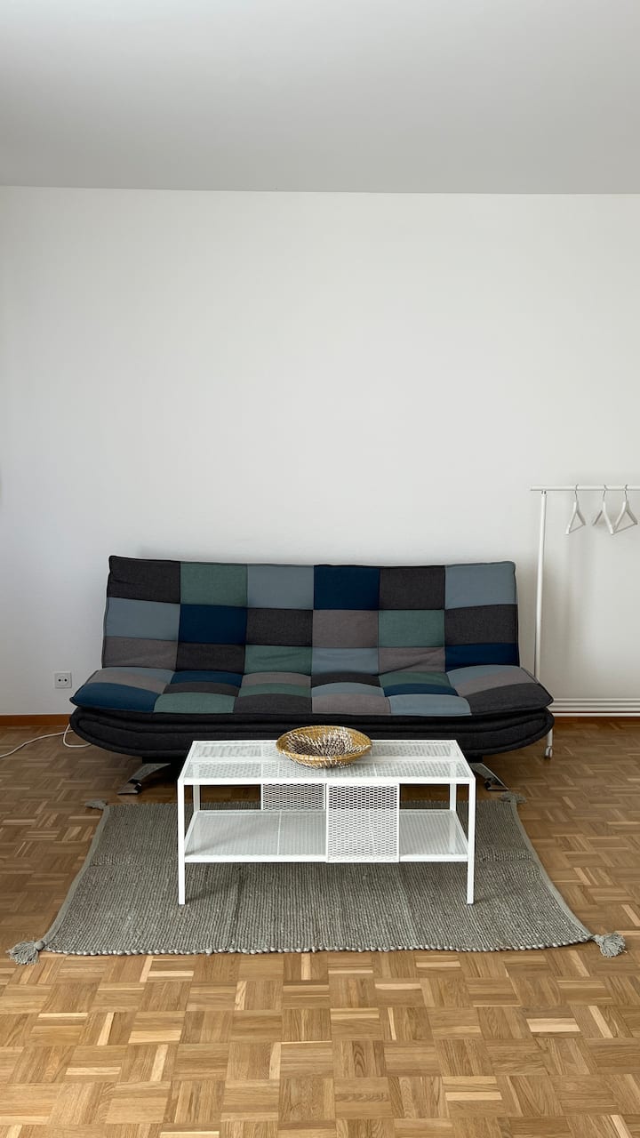 Skyline Apt · 15 Min Lake & Old Town - Geneva