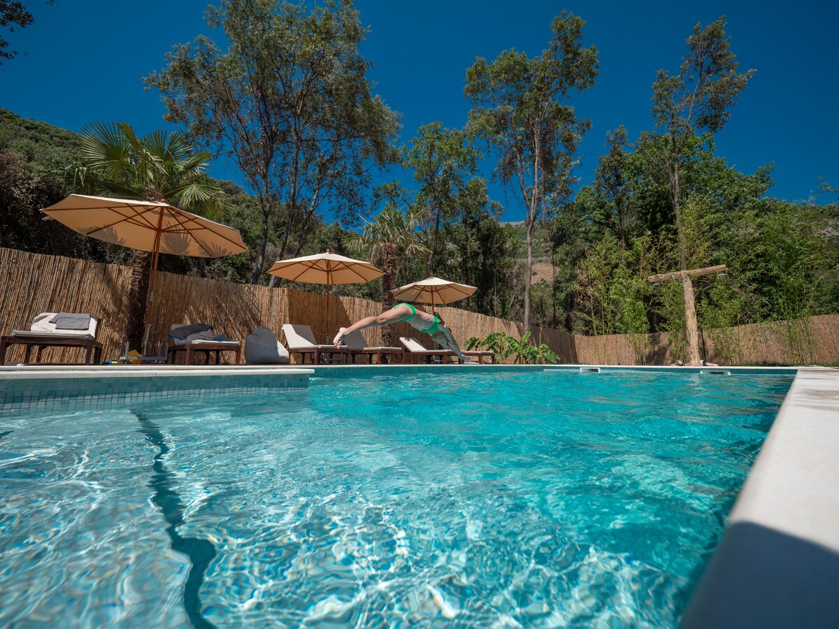A clear swimming pool shimmers under bright sunlight, surrounded by lush greenery. Several sun loungers with parasols are positioned nearby, offering shaded relaxation. The backdrop features a natural landscape of trees and a bamboo fence, creating a serene outdoor environment.