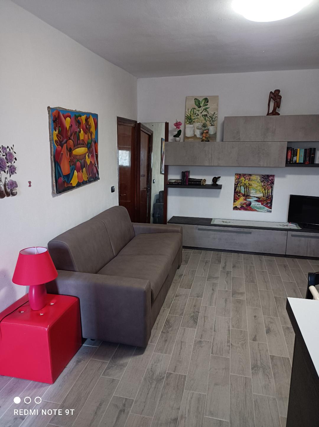 затворен кауч на спуштање, врата од левиот подрум на долниот ѕид на запад и мебел со слики, книги, дрвени скулптури и цвеќиња на северниот ѕид