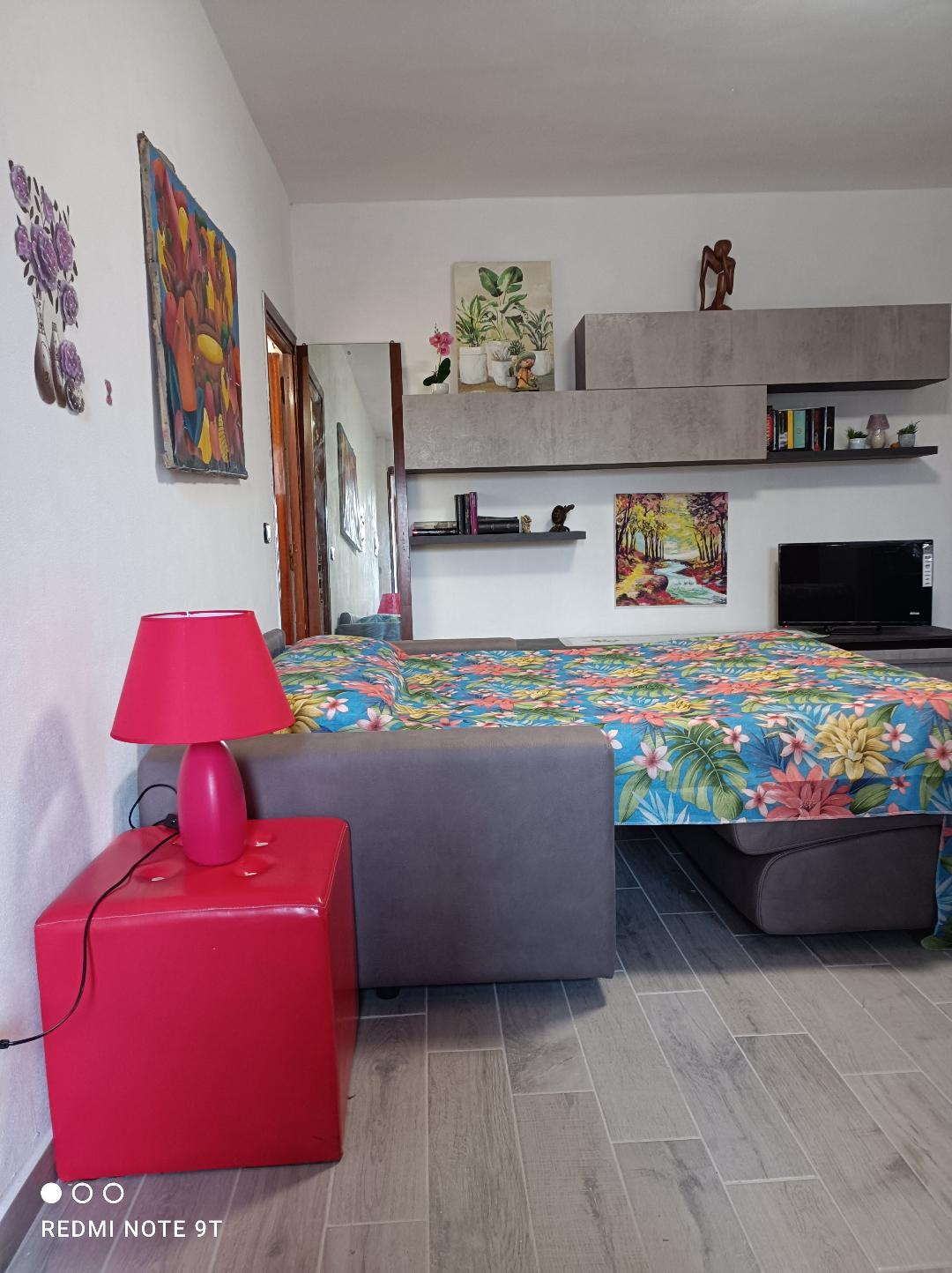 двоен кауч на спуштање во отворена верзија, со телевизор и wifi.