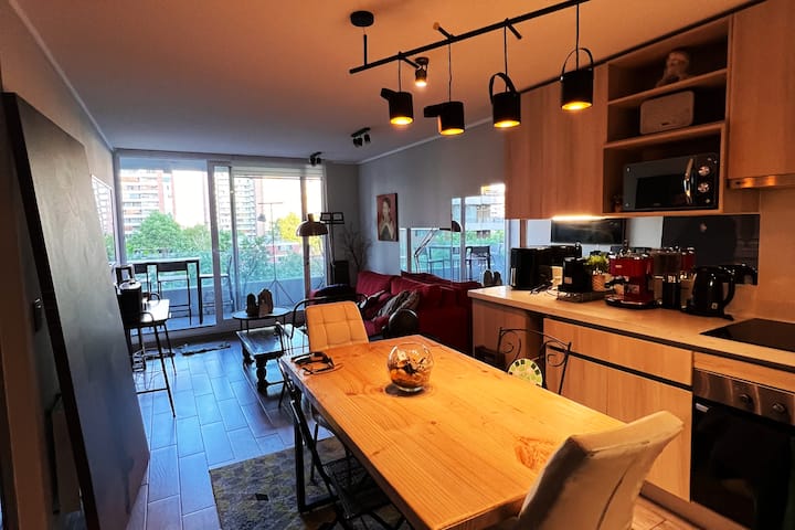 Comfortable Apartment In A Nice Neighborhood - Providencia