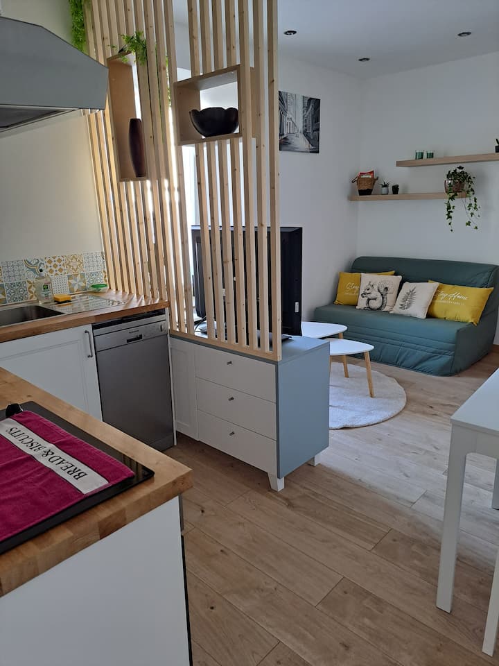 Appartement Remiremont Centre 2 Personnes - Vogesen