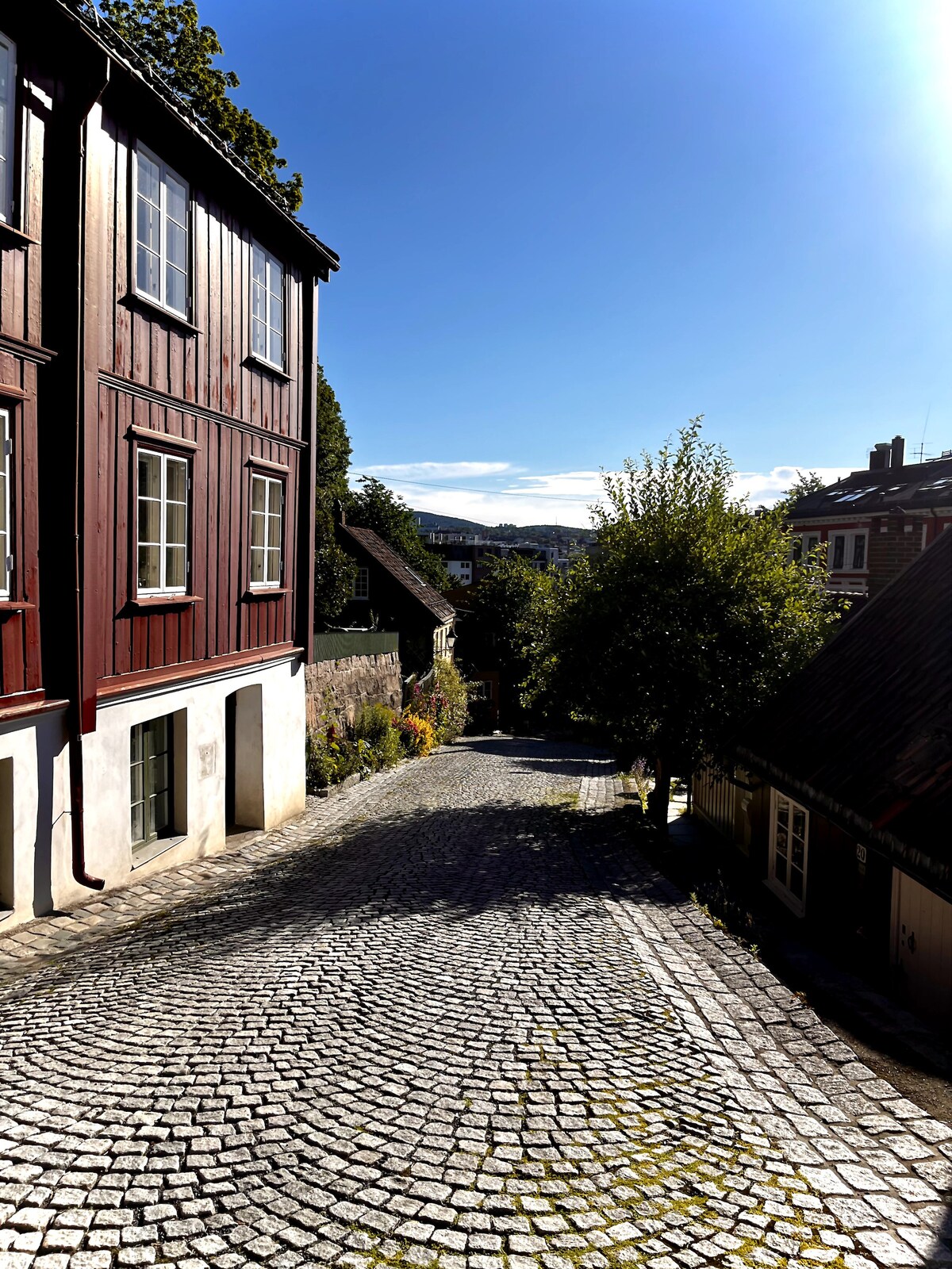 A quaint cobblestone street is viewable, flanked by traditional red wooden buildings. Sunlight casts gentle shadows, illuminating the vibrant greenery along the path. The distant hills add depth to the scene, while the clear blue sky enhances the inviting ambiance.