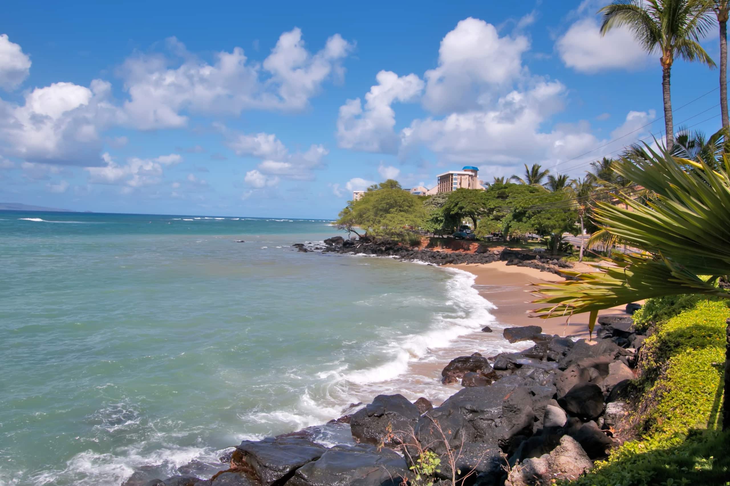 180* Oceanfront View w/ AC!  Remodel+2Pools+Clean - Image 16