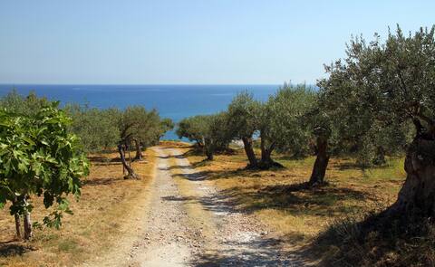 among olive trees + hot tub + 150 from the beach