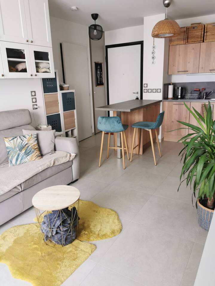 Top 15 Airbnb Vacation Rentals In FerneyVoltaire, France Updated 2024 Trip101