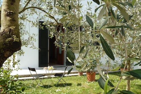 Apartment 5 5 3