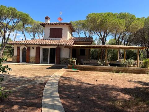 Villa in pine forest at the beach