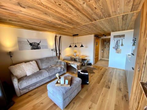 Charming studio close to the Villars cabins