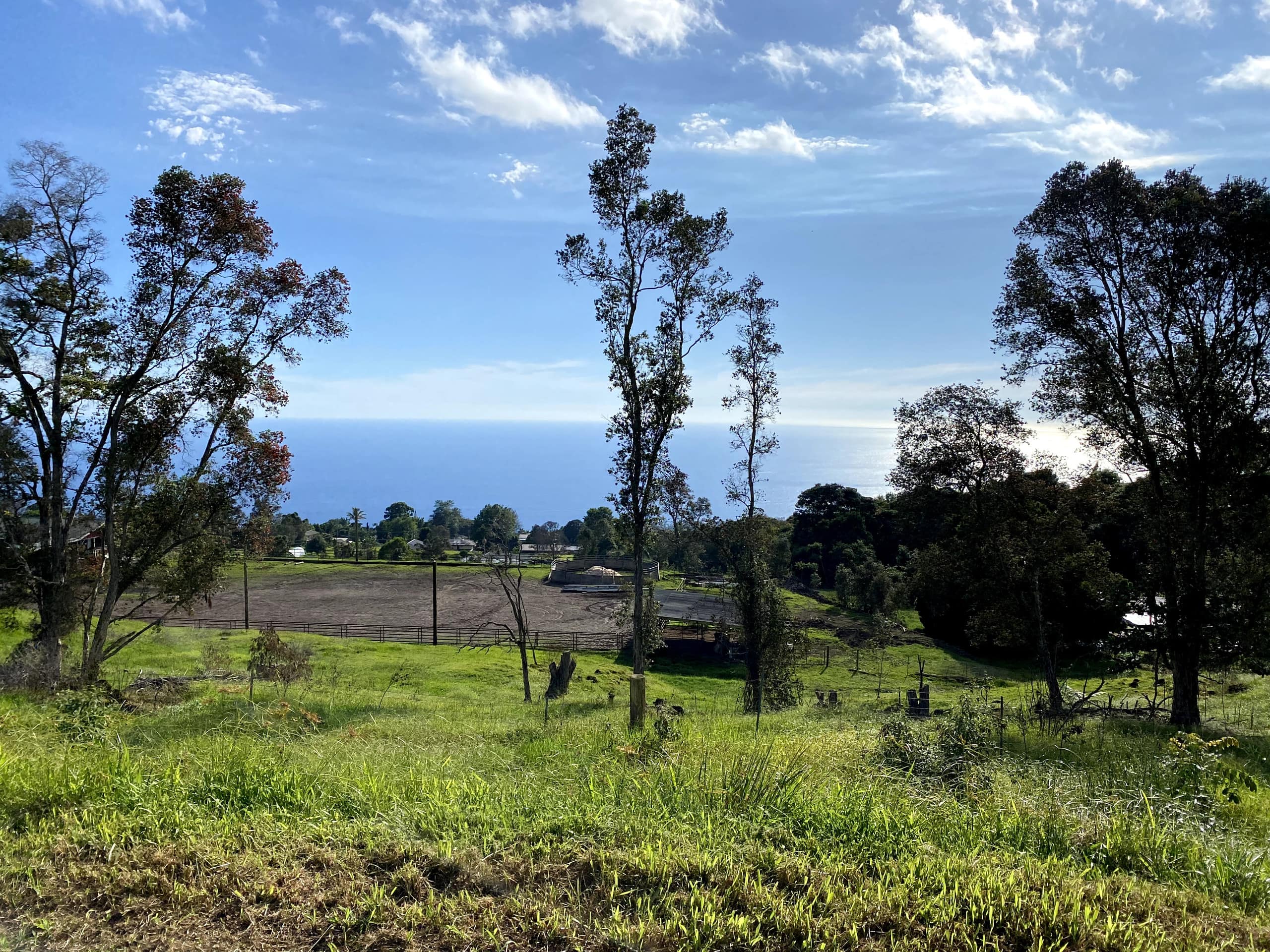 Guesthouse in Holualoa · ★4.86 · Studio · 1 bed · 1 private bath - Image 14