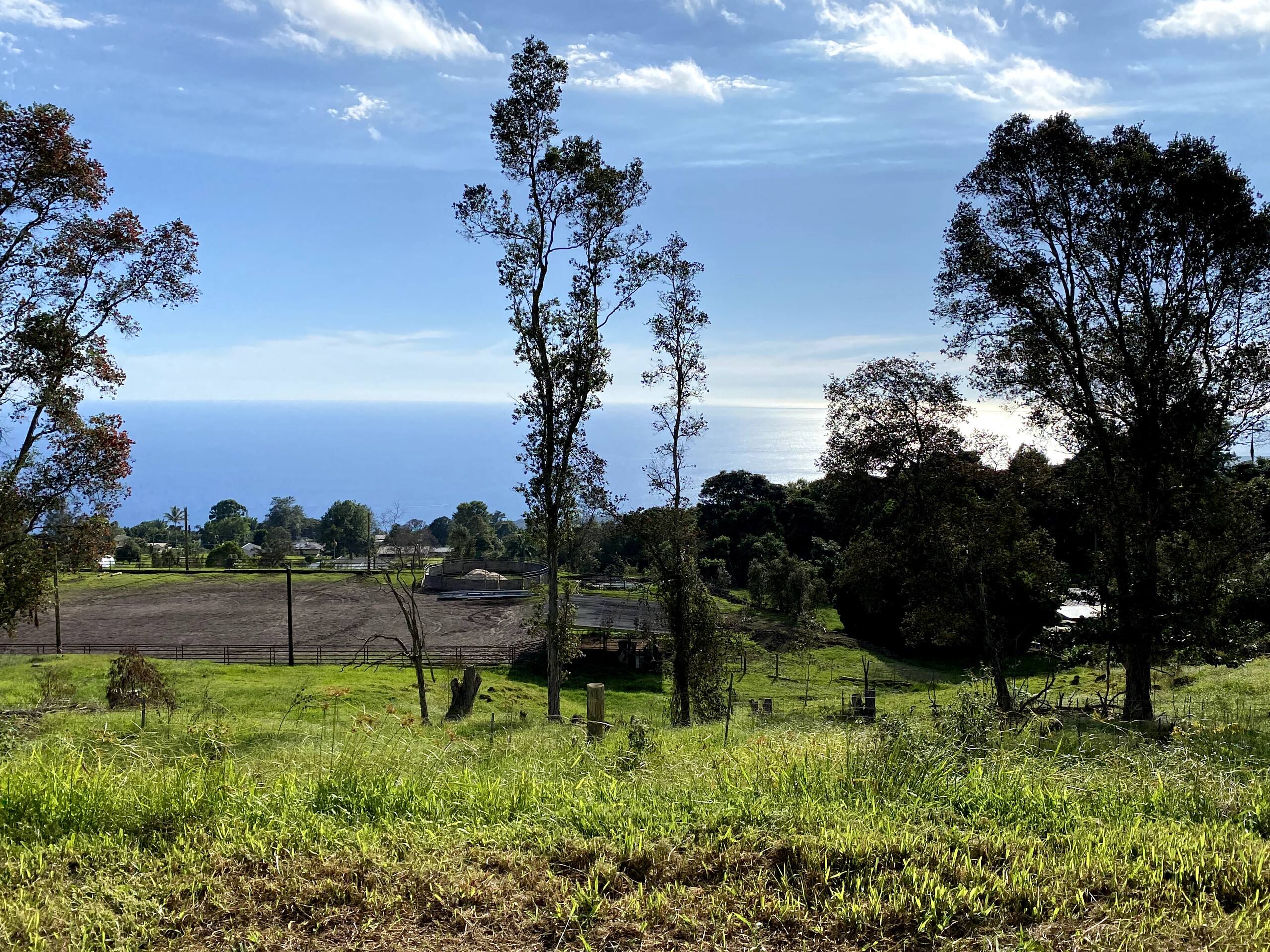 Guesthouse in Holualoa · ★4.86 · Studio · 1 bed · 1 private bath - Image 3