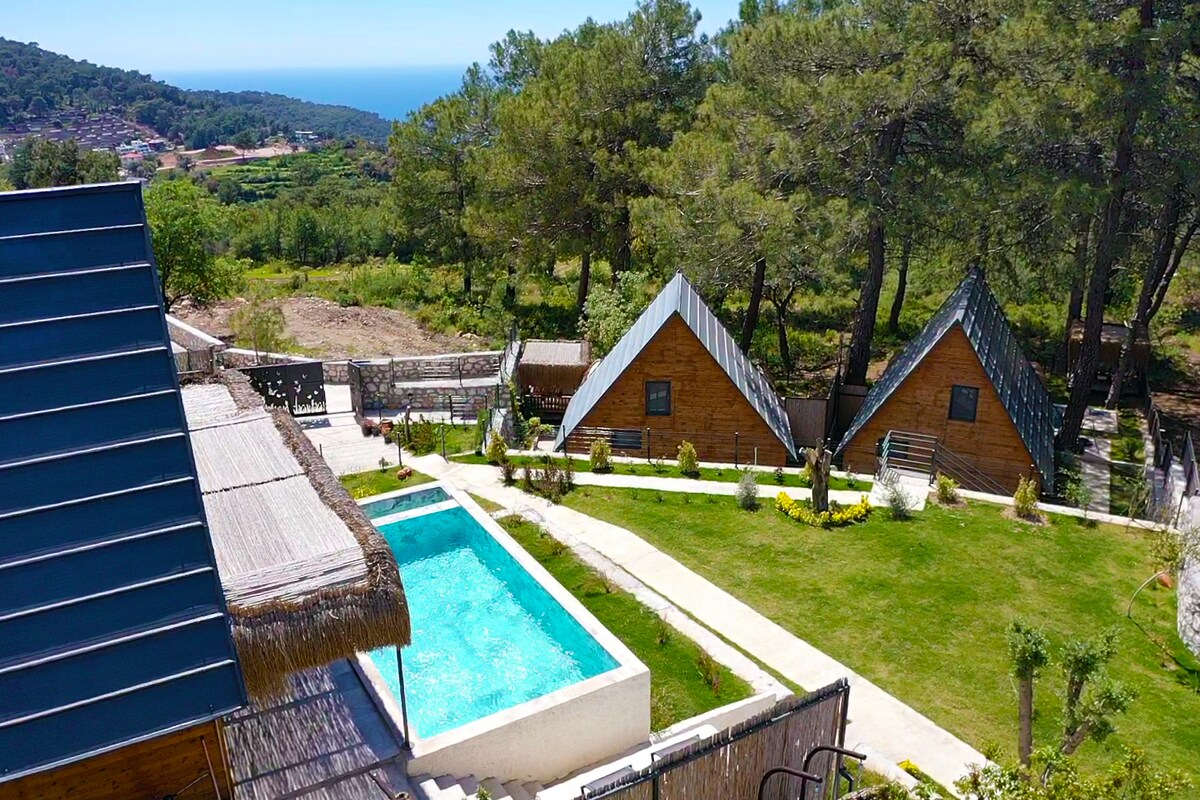 The elevated view captures a private swimming pool surrounded by manicured lawns and lined with lounge chairs. Two wooden A-frame structures are visible, nestled among pine trees, with the expansive ocean in the background, creating a serene outdoor setting.