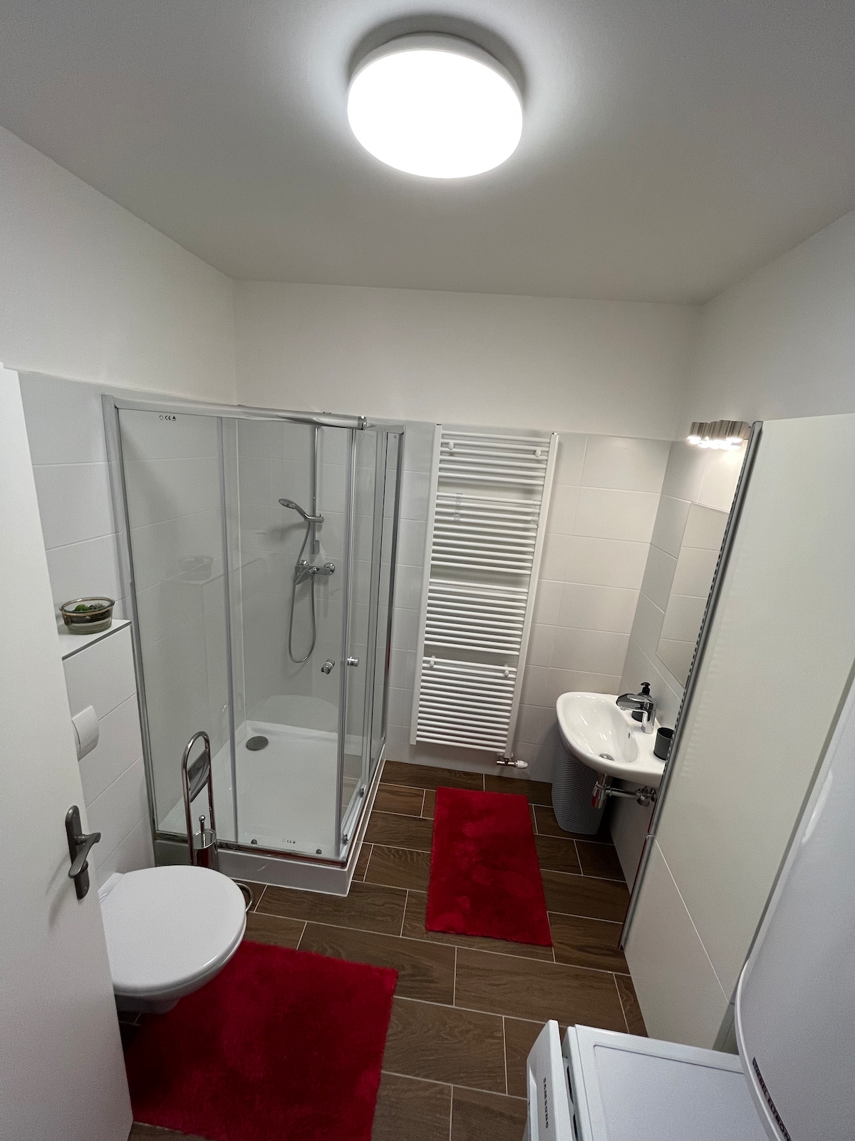 The bright bathroom features a glass shower enclosure, a modern toilet, and a sink with a mirror above. A heated towel rail is mounted on the wall, and red rugs add a pop of color to the tiled floor.
