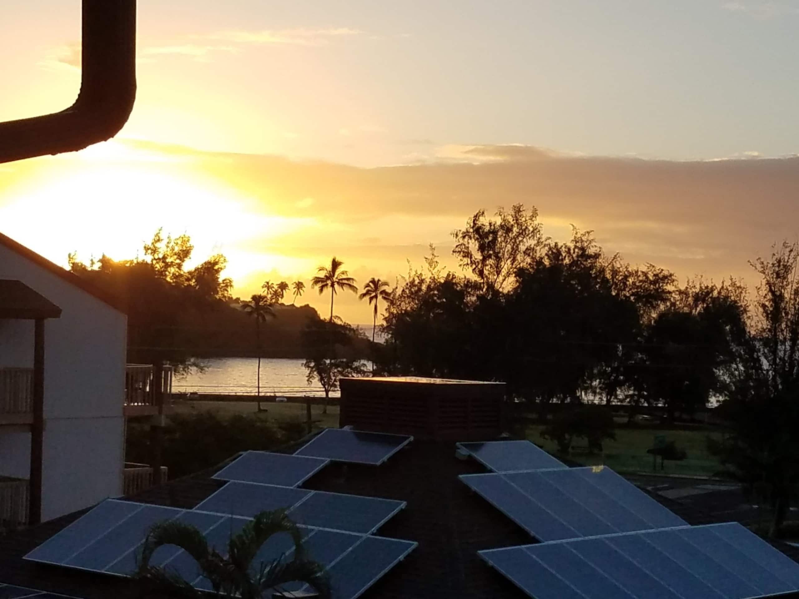 Condo in Lihue · ★4.89 · 2 bedrooms · 2 beds · 1.5 baths - Image 1
