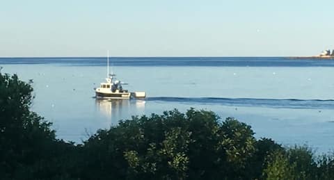 Successful Airbnb property: Winter Hbr Oceanside Cabin - Schoodic Point (ANP) in Bar Harbor / Acadia