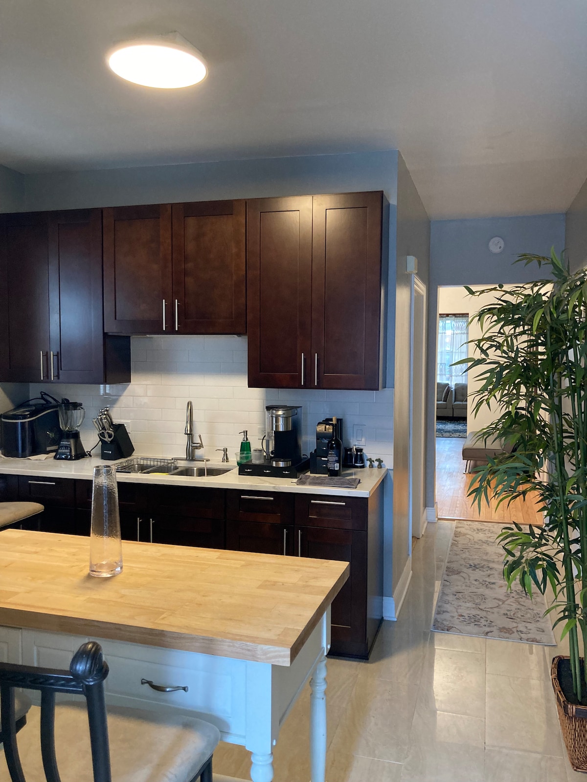 A modern kitchen is presented with dark wood cabinetry and white subway tile backsplash. Stainless steel appliances are visible alongside a countertop display. A doorway leads to a hallway, with indoor plants providing a touch of greenery, enhancing the inviting atmosphere.