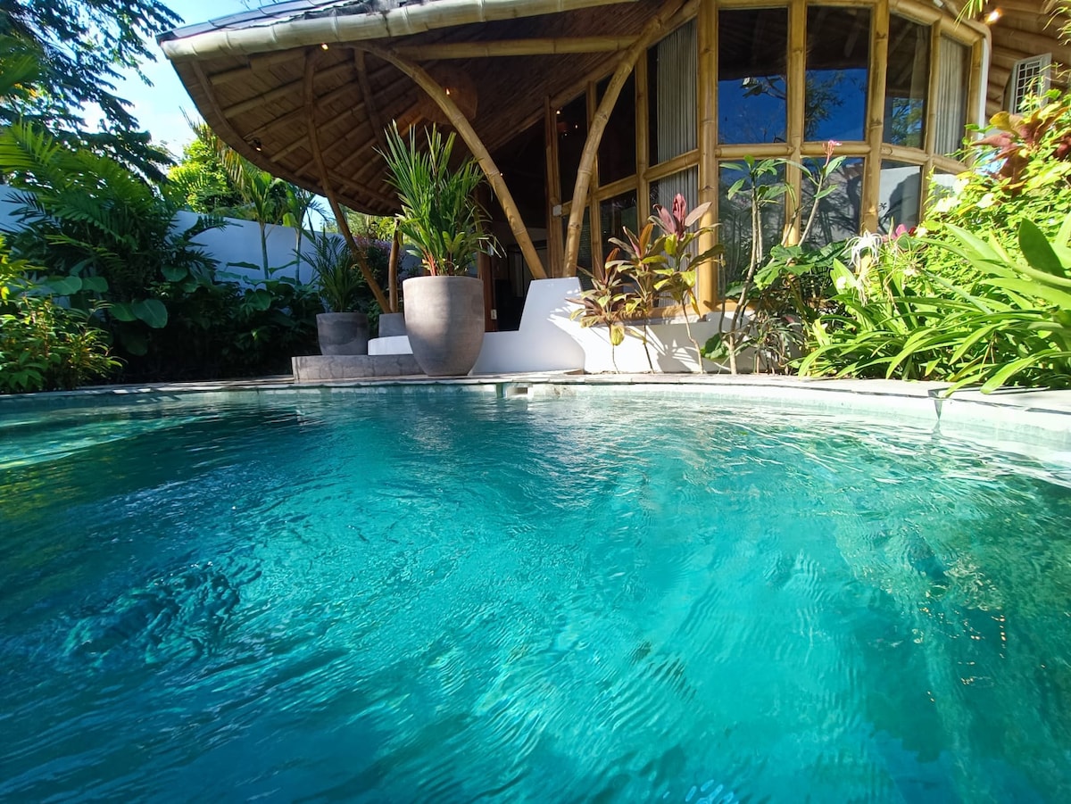 An inviting swimming pool reflects the surrounding lush greenery. The pool edges are framed by tropical plants and large pots, while a quaint bamboo structure is visible in the background, featuring expansive glass windows that allow sunlight to enter.