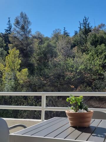 Acropolis Hill Apartment gallery image 4