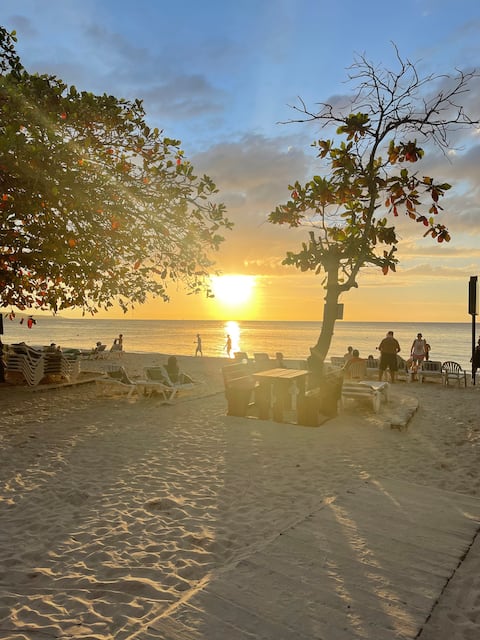 Starr & Adam's Caribbean Oasis