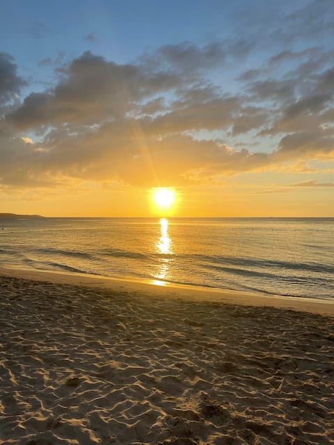 Starr & Adam's Caribbean Oasis