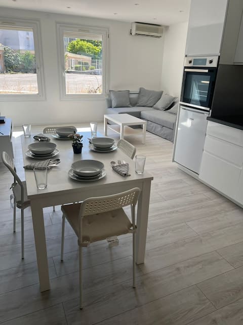 Mulhouse Twin Flats – 12 Guests, Renovated