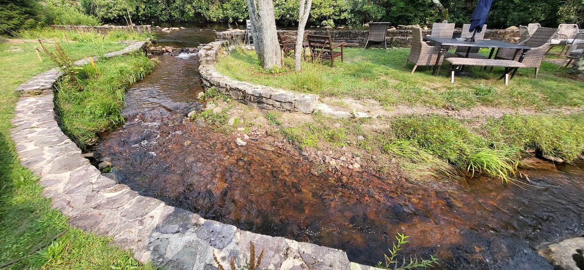 A gentle stream flows through a grassy area, bordered by a stone path. Chairs and a table can be seen nearby, offering a space for relaxation surrounded by lush greenery. The clear water reveals a bed of smooth stones at the bottom.