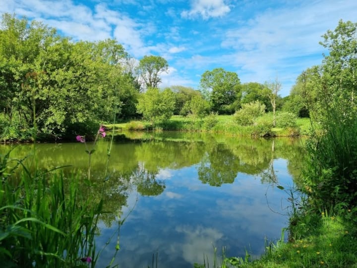 Lamberal At Forda Lodges And Cottages - Bude
