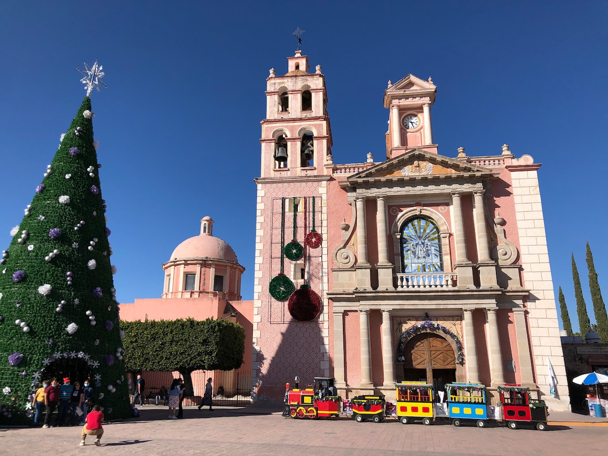 A historic building with pink and white facade features a large clock tower and intricate architectural details. A vibrant holiday tree stands nearby, adorned with decorations. Colorful miniature trains are lined up in front, ready for visitors. Clear blue skies create a bright backdrop.